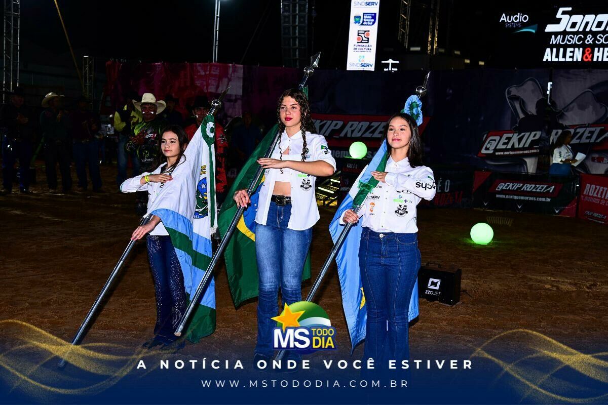 Imagem da Galeria